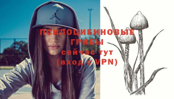 кокаин Богородицк